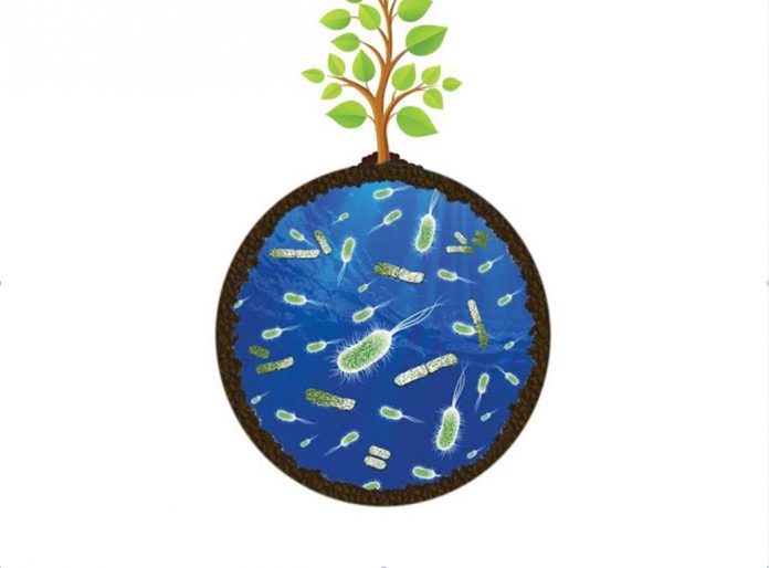 Life's Engines: How Microbes Made Earth Habitable by Paul G. Falkowski