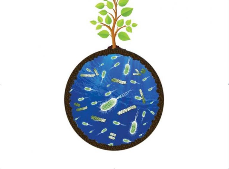 Life's Engines: How Microbes Made Earth Habitable by Paul G. Falkowski