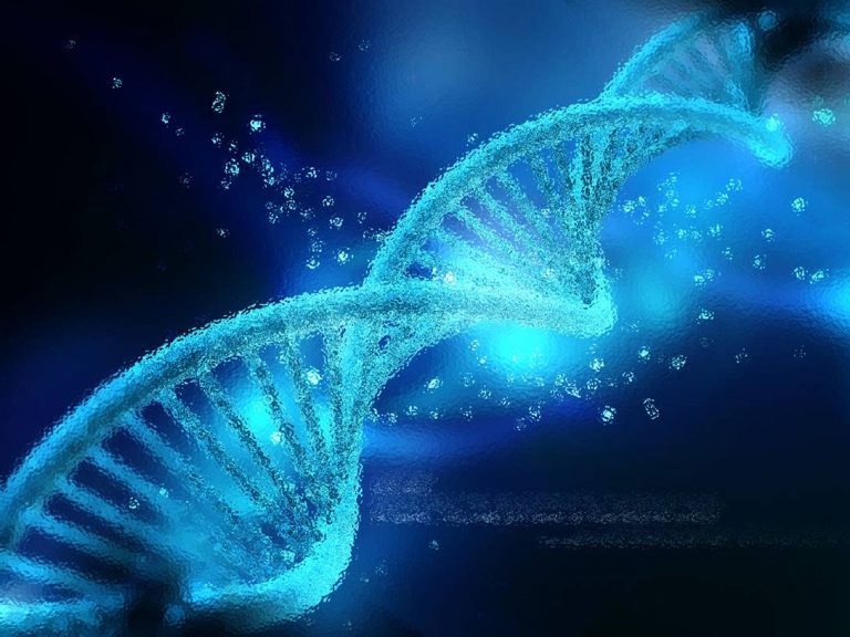 Nutrition, Epigenetics And Health