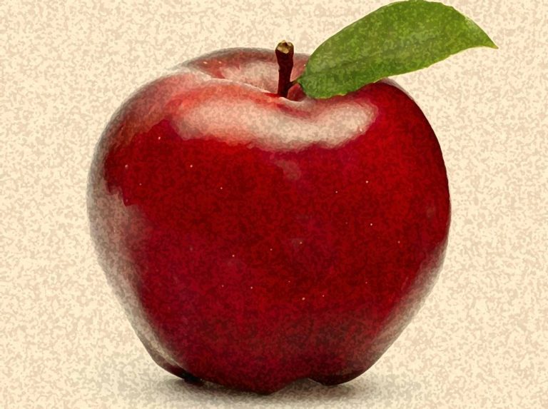 The Courage to Teach