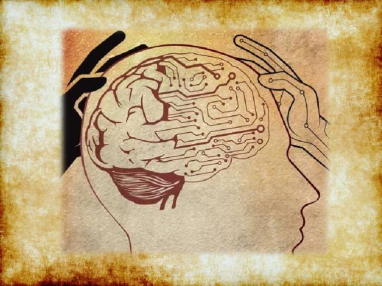 How the Mind Comes into Being