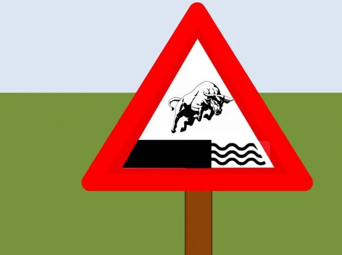 Why Stock Markets Fail