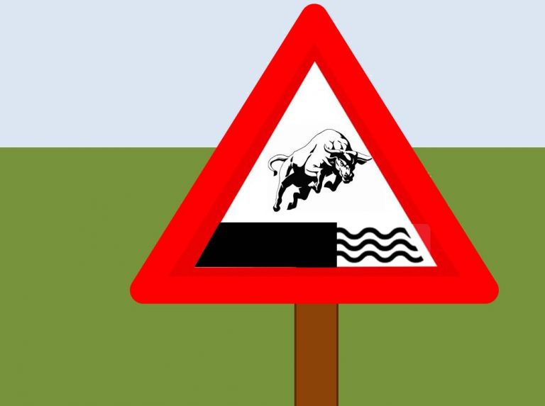 Why Stock Markets Fail