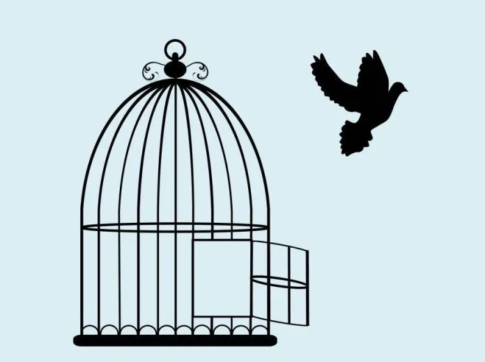 DRM Free ebooks