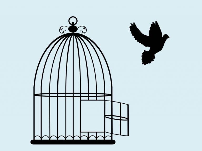 DRM Free ebooks