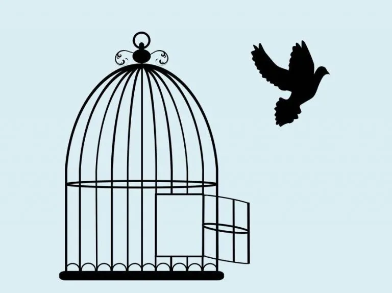 DRM Free ebooks
